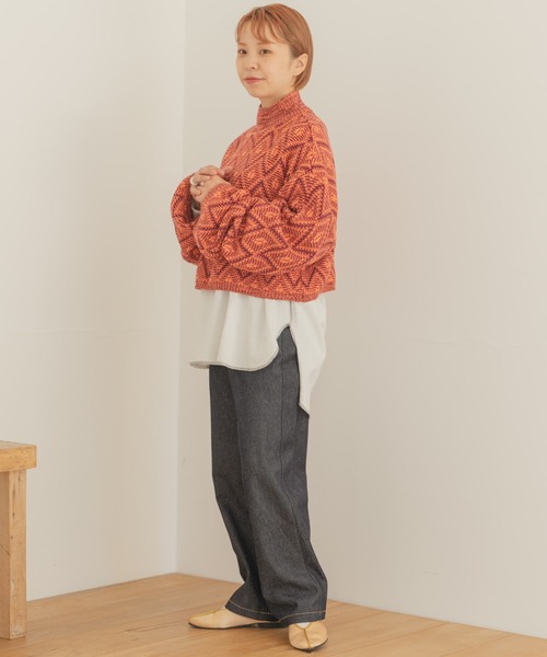 ITEMS URBANRESEARCH（アイテムズ アーバンリサーチ）の「ラーベンアミハイネックニット（ニット/セーター・レディース・ボルドー/ベージュ/ブラック・FREE）」の14枚目の写真