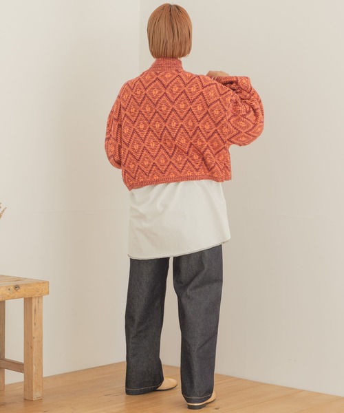 ITEMS URBANRESEARCH（アイテムズ アーバンリサーチ）の「ラーベンアミハイネックニット（ニット/セーター・レディース・ボルドー/ベージュ/ブラック・FREE）」の15枚目の写真