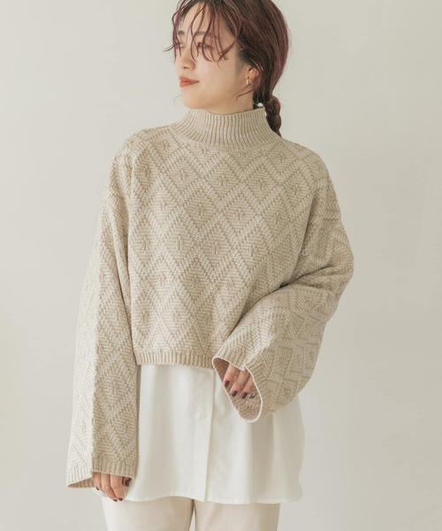 ITEMS URBANRESEARCH（アイテムズ アーバンリサーチ）の「ラーベンアミハイネックニット（ニット/セーター・レディース・ボルドー/ベージュ/ブラック・FREE）」の16枚目の写真