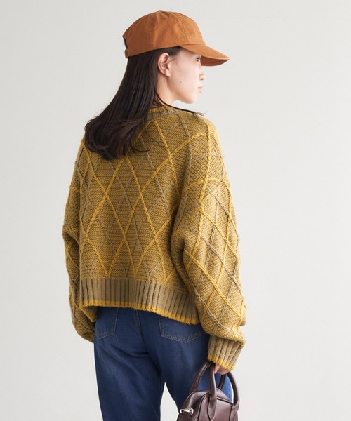 Chaco closet（チャコ クローゼット）の「2WAYジャガードショートニットプルオーバーカーディガン（カーディガン/ボレロ・レディース・ベージュ/ブラウン/グリーン/アイボリー/ブラック/ライトブラウン/グレー・FREE）」の14枚目の写真