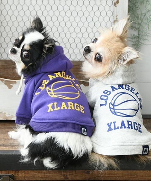 XLARGE（エクストララージ）の「XLARGE/バスケットボールフーディー（ペットウェア・メンズ・パープル/グレー・XS/3L/L/2L/S/M）」の16枚目の写真