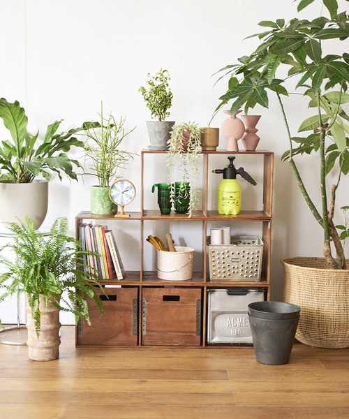 ACME FURNITURE（アクメファニチャー）の「TROY OPEN SHELF L トロイオープンシェルフ（家具・レディース・その他・FREE）」の10枚目の写真