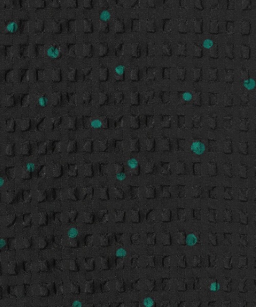 EMMEL REFINES（エメルリファインズ）の「＜EMMEL REFINES＞EM ドットプリント タックギャザースリーブ ワンピース（ワンピース・レディース・ブラック/ライトブルー・S/M）」の14枚目の写真