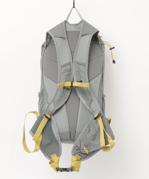 サロモン Salomon トレイルブレイザー 20 TRAILBLAZER 20（バック
