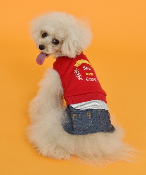 爆買い Dulce Closet ドゥルセ カレッジワンピース 犬服 ドッグウェア Pro Shop B D Dd3b9e99 Greenecountychamber Org