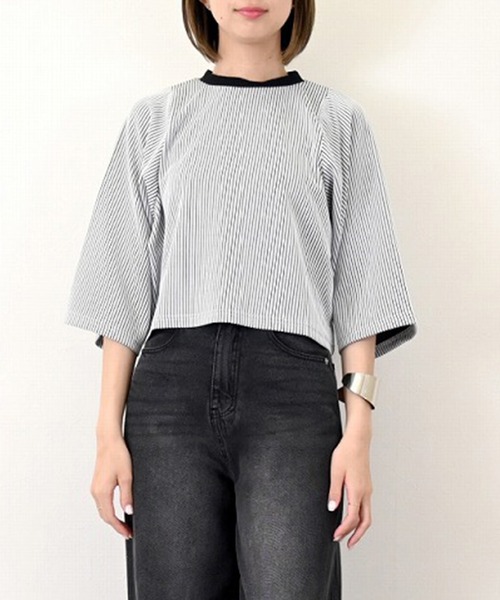 STYLEBLOCK(スタイルブロック)の「ジャガードリブクロップドTシャツ(Tシャツ/カットソー・レディース・ホワイト/レッド/ブラウン・M)」の2枚目の写真