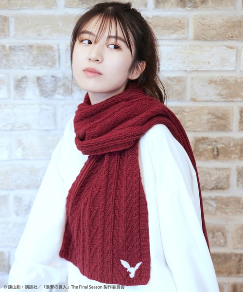 TVアニメ『進撃の巨人』 The Final Season 完結編 ミカサモチーフ