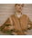 VANONE ATELIER�i�o�m���A�g���G�j�́uO3707 Irish crop varsity jacket_Camel brown�i�X�^�W�����j�v�b�L������