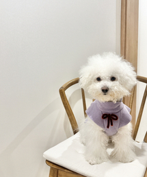 PLUM STUDIO（プラム スタジオ）の「子犬フェアリーパンチョフリース（ペットウェア）」