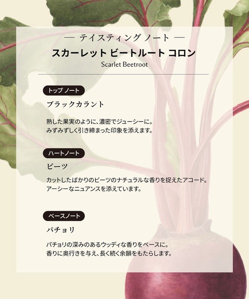 数量限定】ジョー マローン ロンドン ディスカバリー コレクション 3 x