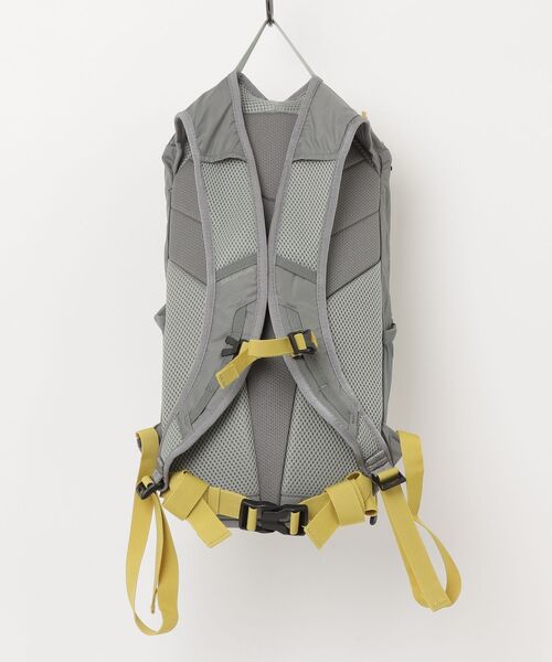 SALOMON（サロモン）の「サロモン Salomon トレイルブレイザー 10 TRAILBLAZER 10（バックパック/リュック・メンズ・その他・ONE SIZE）」の2枚目の写真