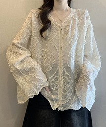 Vネックレースシアーブラウス
