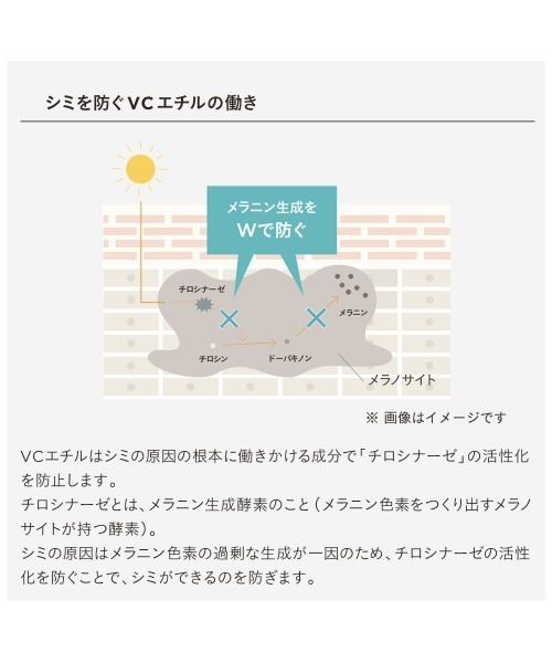 ETVOS(エトヴォス)の「薬用 アクネVCローションⅠ【医薬部外品】(化粧水・レディース・その他・FREE)」の6枚目の写真