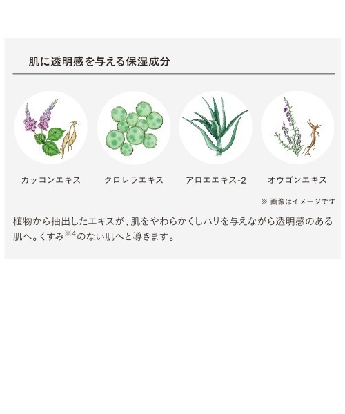 ETVOS(エトヴォス)の「薬用 アクネVCローションⅠ【医薬部外品】(化粧水・レディース・その他・FREE)」の12枚目の写真