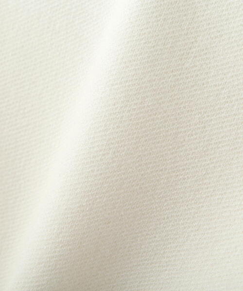 PROPORTION BODY DRESSING（プロポーションボディドレッシング）の「ジャガードニット / 1214270602（ニット/セーター・レディース・レッド/ホワイト/ネイビー・FREE）」の22枚目の写真