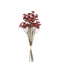 Francfranc｜フランフランのインテリア雑貨通販 - ZOZOTOWN