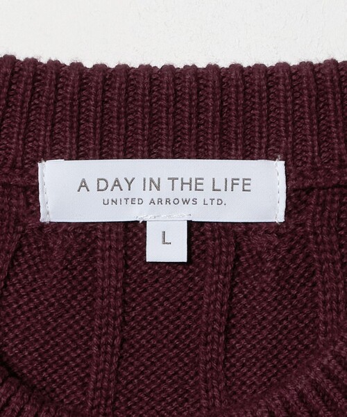 A DAY IN THE LIFE UNITED ARROWS(アデイインザライフユナイテッドアローズ)の「ケーブルニット-ウォッシャブル-<A DAY IN THE LIFE>(ニット/セーター・メンズ・ネイビー/ナチュラル/ワイン・L/M/S)」の22枚目の写真