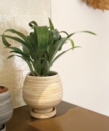 MILLION CARATS(�~���I���J���b�c)�̋�Ԃɂ��炩�ȓ��������� Swirl�|�b�g���\�[�T�[�B�}�b�g�����ŐA�����f����A�Q�͗l�f�U�C���̓��픫�@M�T�C�Y(�t�����[�x�[�X)