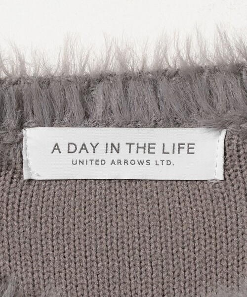 A DAY IN THE LIFE UNITED ARROWS(アデイインザライフユナイテッドアローズ)の「ファーライク クルーネックニット <A DAY IN THE LIFE>(ニット/セーター・レディース・ターコイズブルー系/モカ/ライトグレー・FREE)」の14枚目の写真