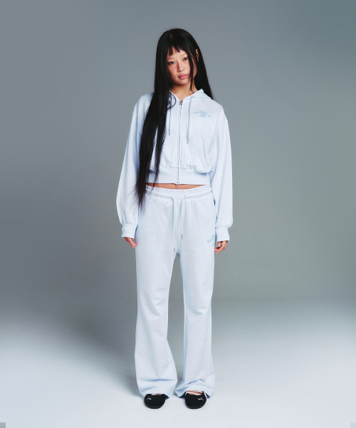 AMESWORLDWIDE（アメスワールドワイド）の「CLASSIC CROP HOODIE ZIP-UP BLUE（パーカー・レディース・その他・SMALL/MEDIUM）」の12枚目の写真