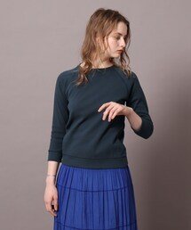 DRESSTERIOR / ドレステリア ラグランスリーブコットンプルオーバー ラグランスリーブコットンプルオーバー（スウェット・トレーナー