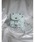 Darich�i�_�[���b�`�j�́u�L���e�B���O�r�W���[�~�j�����b�N�i�o�b�N�p�b�N/�����b�N�j�v�b�T�b�N�X�u���[
