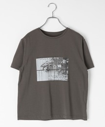 LEPSIM | HorseプリントT　668101(Tシャツ/カットソー)