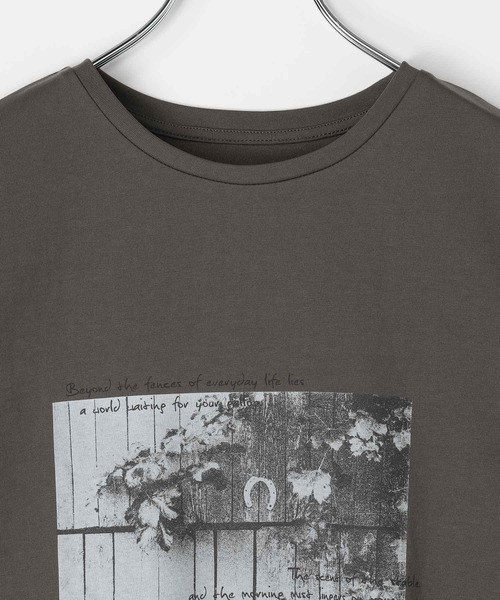 LEPSIM（レプシィム）の「HorseプリントT　668101（Tシャツ/カットソー・レディース・アイボリー/チャコールグレー/オフホワイト・FREE）」の5枚目の写真