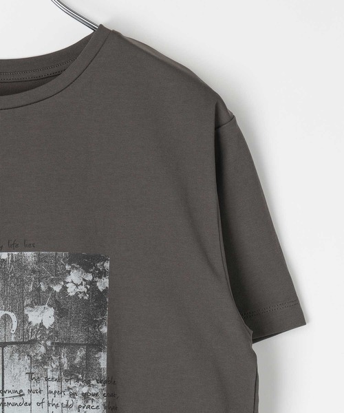 LEPSIM（レプシィム）の「HorseプリントT　668101（Tシャツ/カットソー・レディース・アイボリー/チャコールグレー/オフホワイト・FREE）」の6枚目の写真