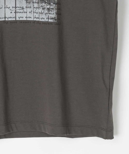 LEPSIM（レプシィム）の「HorseプリントT　668101（Tシャツ/カットソー・レディース・アイボリー/チャコールグレー/オフホワイト・FREE）」の7枚目の写真