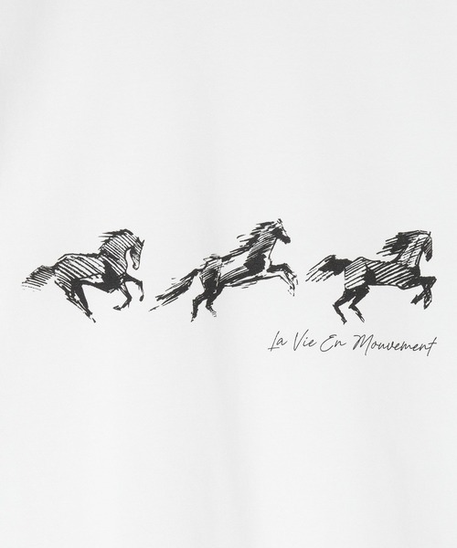 LEPSIM（レプシィム）の「HorseプリントT　668101（Tシャツ/カットソー・レディース・アイボリー/チャコールグレー/オフホワイト・FREE）」の9枚目の写真