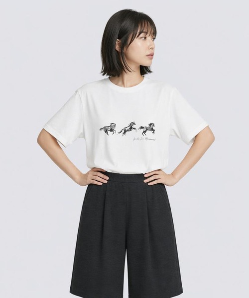 LEPSIM(レプシィム)の「HorseプリントT 668101(Tシャツ/カットソー・レディース・アイボリー/チャコールグレー/オフホワイト・FREE)」の13枚目の写真