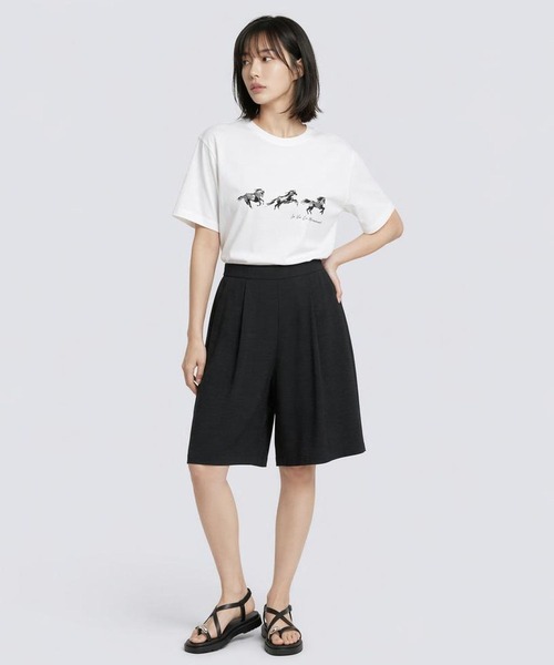 LEPSIM(レプシィム)の「HorseプリントT 668101(Tシャツ/カットソー・レディース・アイボリー/チャコールグレー/オフホワイト・FREE)」の14枚目の写真