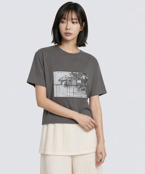 LEPSIM(レプシィム)の「HorseプリントT 668101(Tシャツ/カットソー・レディース・アイボリー/チャコールグレー/オフホワイト・FREE)」の18枚目の写真