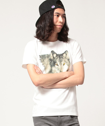 BEAUTY&YOUTH UNITED ARROWS | MT コヨーテ ヘッド Tシャツ(Tシャツ/カットソー)