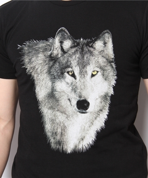 BEAUTY&YOUTH UNITED ARROWS（ビューティーアンドユースユナイテッドアローズ）の「MT コヨーテ ヘッド Tシャツ◆§2（Tシャツ/カットソー・メンズ・ホワイト/ブラック・LARGE/SMALL/MEDIUM）」の8枚目の写真