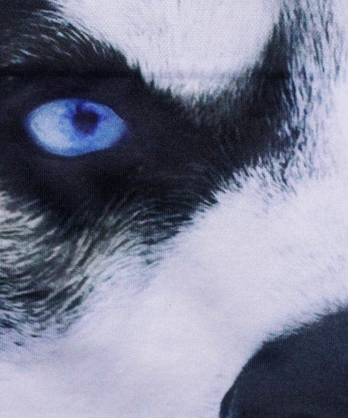 HIPSHOP（ヒップショップ）の「INU（イヌ）アンダーパンツ　メンズ　ポリエステルタイプボクサー／（ボクサーパンツ・メンズ・その他1/その他3/その他4/その他5/その他6/その他7/その他8/その他9/その他10/その他11/その他12/その他13/その他14・M/L/LL/S）」の16枚目の写真