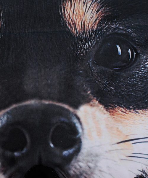 HIPSHOP（ヒップショップ）の「INU（イヌ）アンダーパンツ　メンズ　ポリエステルタイプボクサー／（ボクサーパンツ・メンズ・その他1/その他3/その他4/その他5/その他6/その他7/その他8/その他9/その他10/その他11/その他12/その他13/その他14・M/L/LL/S）」の19枚目の写真