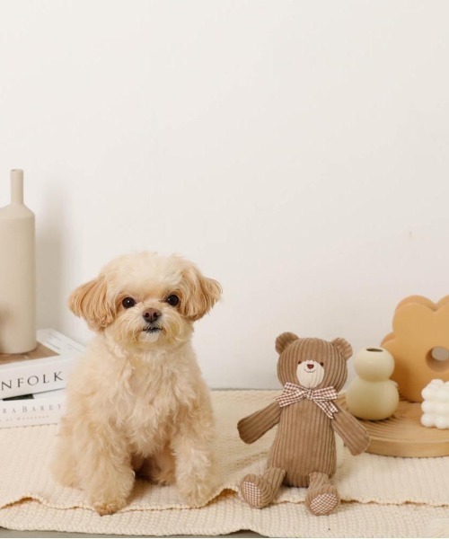 moncheri(モンシェリ)の「コーデュロイのくまさん / 犬服 / ドッグウェア(ペット用おもちゃ・レディース・ベージュ・FREE)」の6枚目の写真