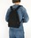 STANDARD SUPPLY�i�X�^���_�[�h�T�v���C�j�́u�X�^���_�[�h�T�v���C / SIMPLICITY �V���v���V�e�B / PETITE DAYPACK �y�e�B�[�g�f�C�p�b�N�i�o�b�N�p�b�N/�����b�N�j�v�b�u���b�N
