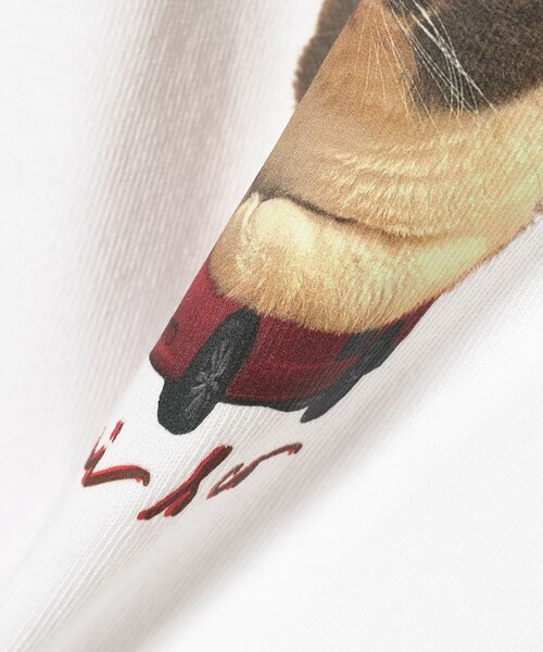 CHARI&CO（チャリアンドコー）の「【別注】CHARI&CO / AMUCHAN AUTO FREE CREW NECK T-SHIRTS（Tシャツ/カットソー・レディース・ホワイト/ベージュ・ONE SIZE）」の14枚目の写真