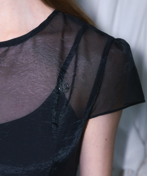 ROSEFRANTZ（ロゼフランツ）の「Sheer Layered Shirring Dress [Black]（ワンピース・レディース・ブラック・OS）」の2枚目の写真