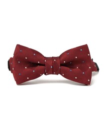 SHIPS | SHIPS KIDS:セレモニー ドット柄 蝶ネクタイ(蝶ネクタイ)