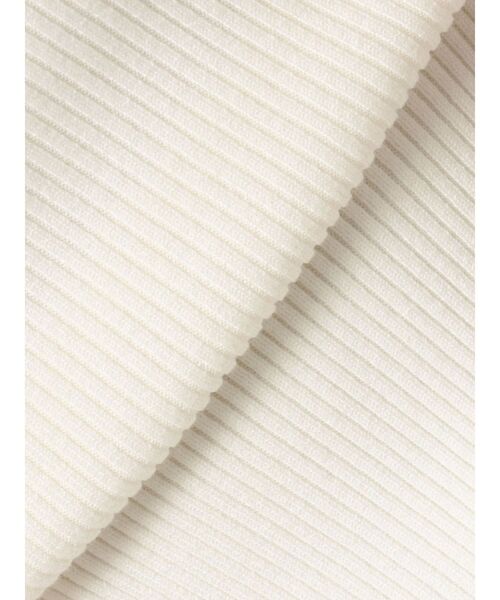 MERCURYDUO（マーキュリーデュオ）の「U.S. POLO ASSN.別注 リブハイネックニット（ニット/セーター・レディース・アイボリー/ネイビー/ラベンダー・FREE）」の22枚目の写真