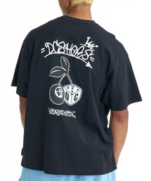 DC/ディーシー 半袖 Tシャツ ロゴ バックプリント DST261032