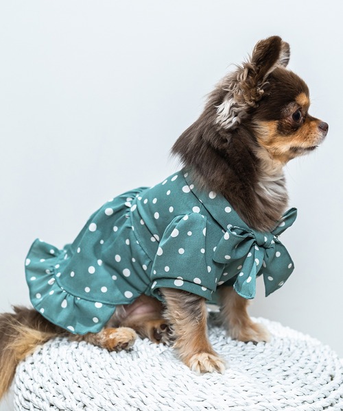 Toyome（トヨミー）の「【飼い主と犬服のペアルックセット】リボンタイ