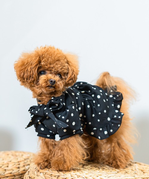 Toyome（トヨミー）の「【飼い主と犬服のペアルックセット】リボンタイ