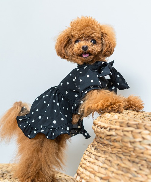Toyome（トヨミー）の「【飼い主と犬服のペアルックセット