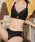 Lace Ladiesi[XfB[Xj́uP~J[XuV[c Q_Zbgiu&V[cjvbubN