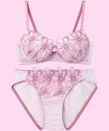 AMPHI(AtB)́y܂鋹CNzu&V[cZbg ԃ`[t×GuC_[[X(u&V[c)